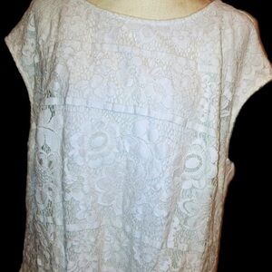 Vince Camuto Lace Ovelay Top 1X